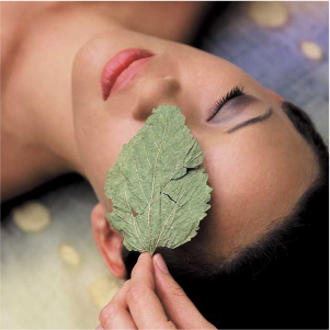 Body Massage in Sharjah